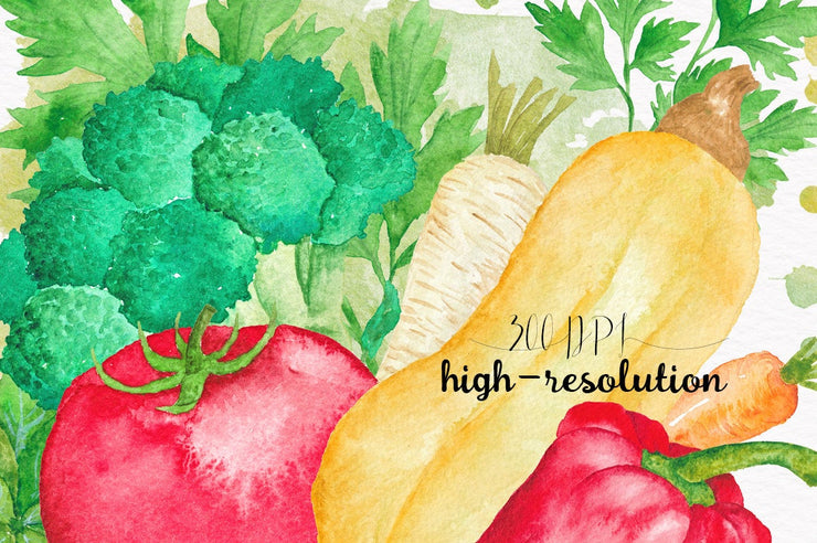 Vegetable Watercolor Collection