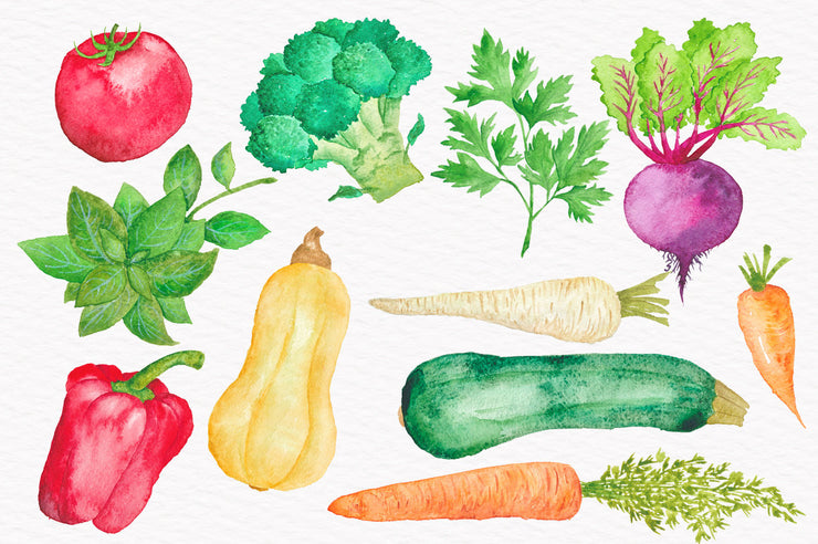 Vegetable Watercolor Collection