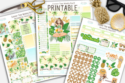 Summer Weekly Printable kit for Life Planner Erin Condren