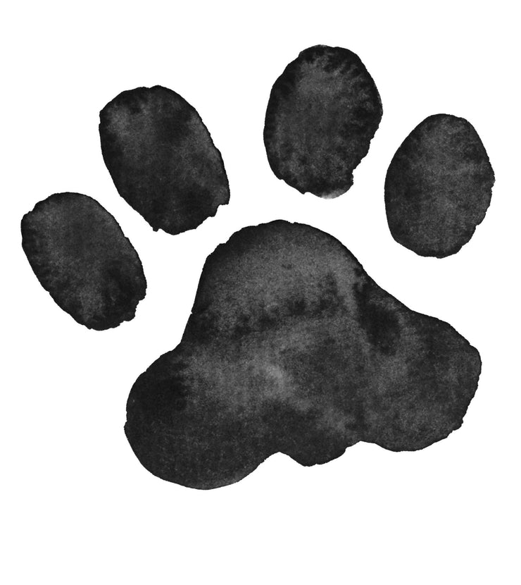 Animal Foot Prints Clipart