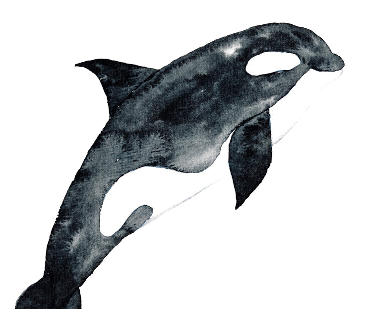 Watercolor Whales & Friends Nautical Clip Art