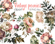 Vintage Peonies Flowers Clipart
