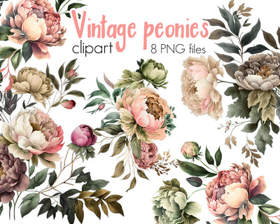 Vintage Peonies Flowers Clipart