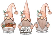 Thanksgiving Gnomes