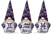 Zodiac Signs Gnomes Boys